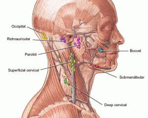 Hodgkins-disease